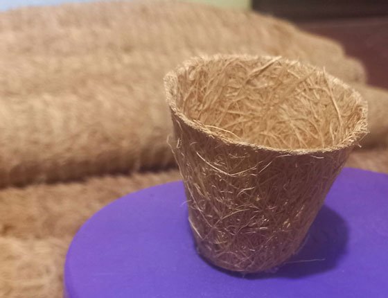 coco-garden-articles