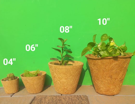 coco-garden-articles