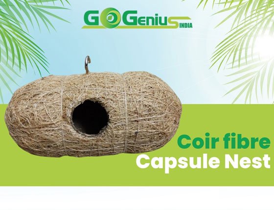 coconut-shell-birds-nest