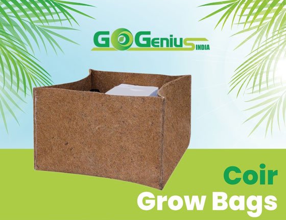 cocopeat-growbags